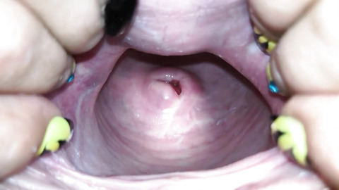 Cervix close up [4k]